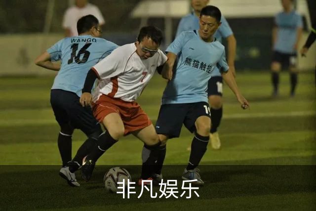 非凡娱乐公司简介图片